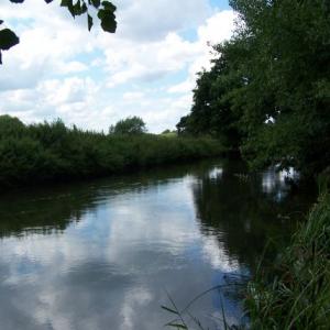 LarkPloughDownstream